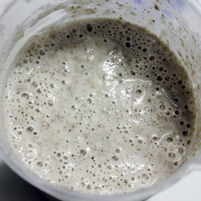 (FERMENTO NATURAL CLÁSSICO)