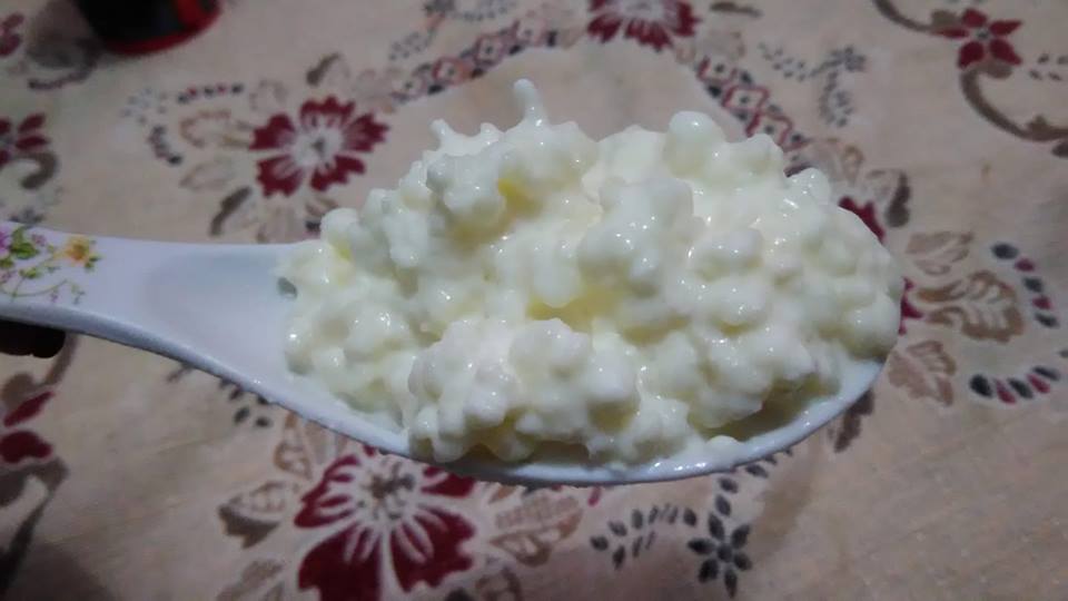 Yogur Matsoni, Fermento Tradicional